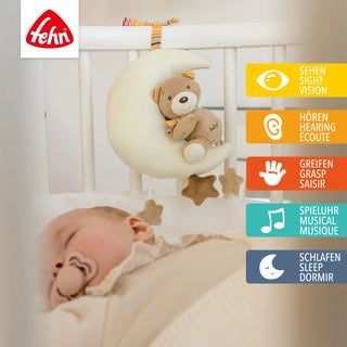MUSICAL TEDDY IN MOON