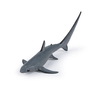 THRESHER SHARK