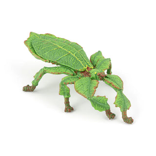 LEAF INSECT