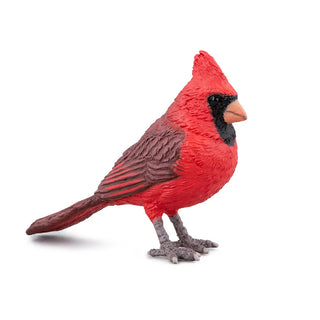 NORTHERN CARDINAL