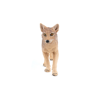JACKAL