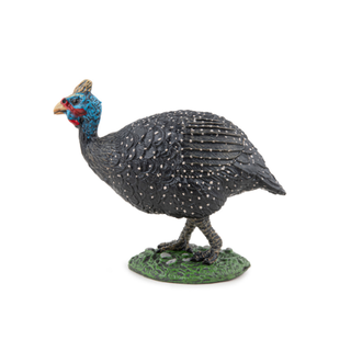 GUINEA FOWL
