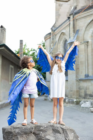SOFT WINGS