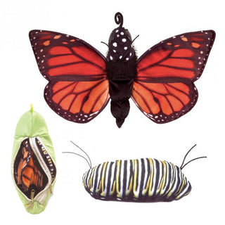 MONARCH LIFE CYCLE