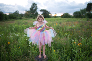 RAINBOW FAIRY DRESS & WINGS