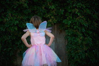 RAINBOW FAIRY DRESS & WINGS