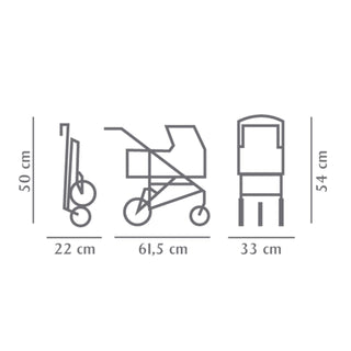 3-WHEEL BUGGY - HAPPY FLOWERS