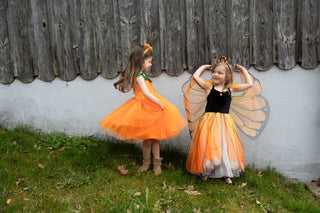 BUTTERFLY TWIRL DRESS WITH WINGS & HEADBAND