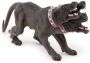 CERBERUS