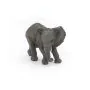 YOUNG AFRICAN ELEPHANT