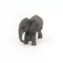 YOUNG AFRICAN ELEPHANT