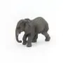 YOUNG AFRICAN ELEPHANT