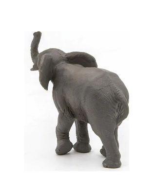 YOUNG ELEPHANT