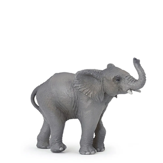 YOUNG ELEPHANT