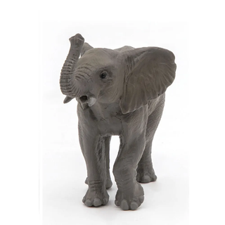 YOUNG ELEPHANT