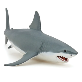 WHITE SHARK