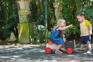 DELIVERY BIKE (RED)