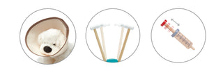 VET SET