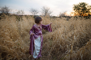 LADY GUINEVERE DRESS