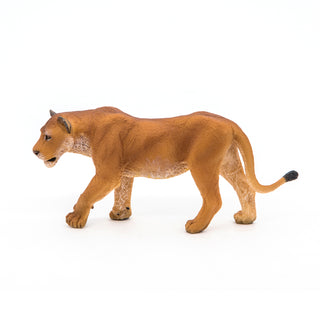 LIONESS
