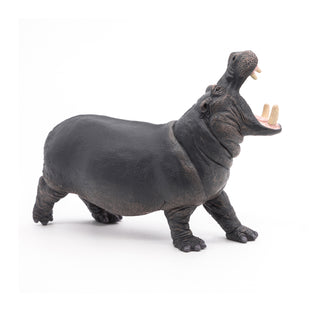 HIPPOPOTAMUS
