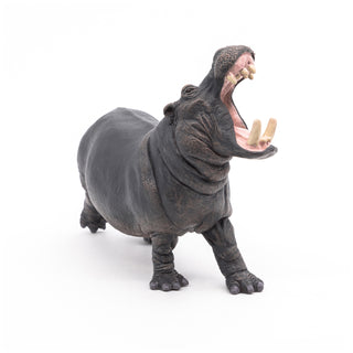 HIPPOPOTAMUS