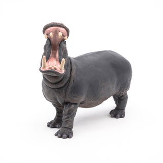 HIPPOPOTAMUS