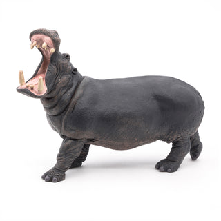 HIPPOPOTAMUS