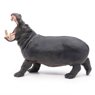HIPPOPOTAMUS