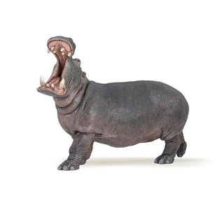HIPPOPOTAMUS