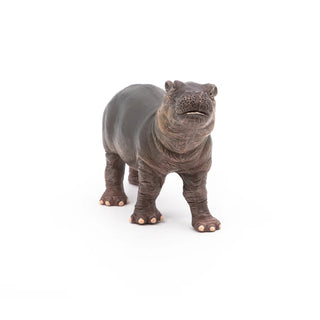 HIPPOPOTAMUS CALF