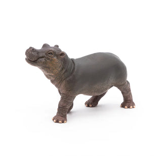HIPPOPOTAMUS CALF