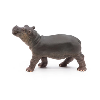 HIPPOPOTAMUS CALF