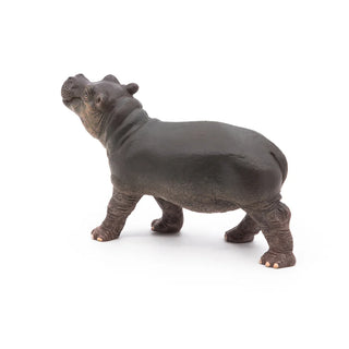 HIPPOPOTAMUS CALF