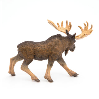 MOOSE