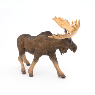 MOOSE