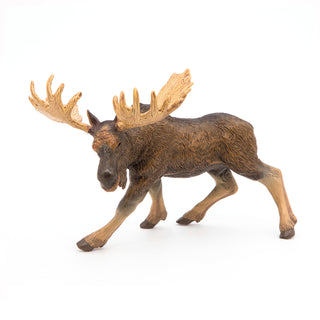 MOOSE
