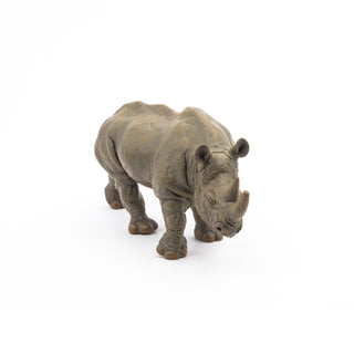 BLACK RHINOCEROS