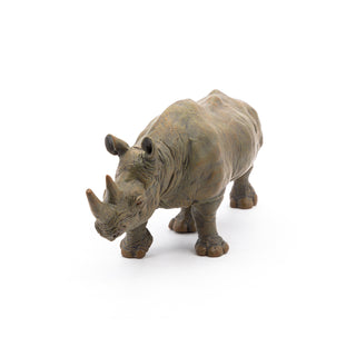 BLACK RHINOCEROS