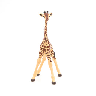GIRAFFE CALF
