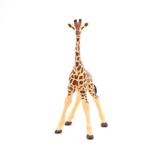 GIRAFFE CALF