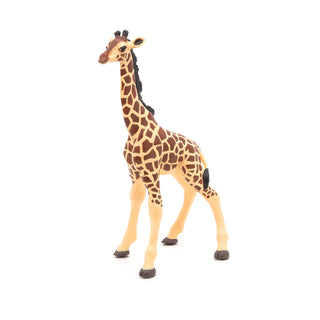 GIRAFFE CALF