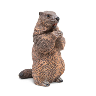 BEAVER