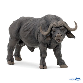 AFRICAN BUFFALO
