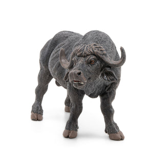 AFRICAN BUFFALO