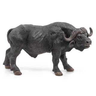 AFRICAN BUFFALO