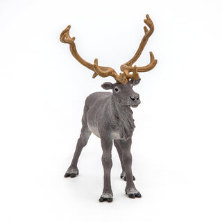 REINDEER
