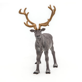 REINDEER