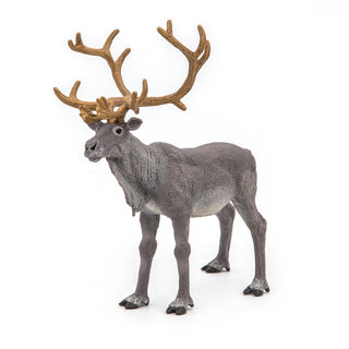 REINDEER
