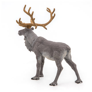 REINDEER